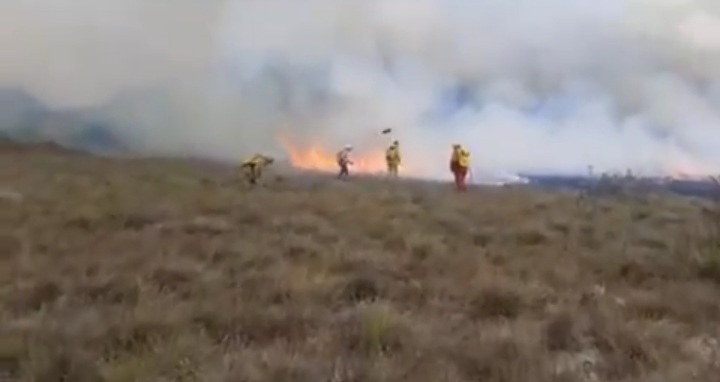 Incêndios florestais: governo decreta situação de emergência em Livramento e mais 15 cidades