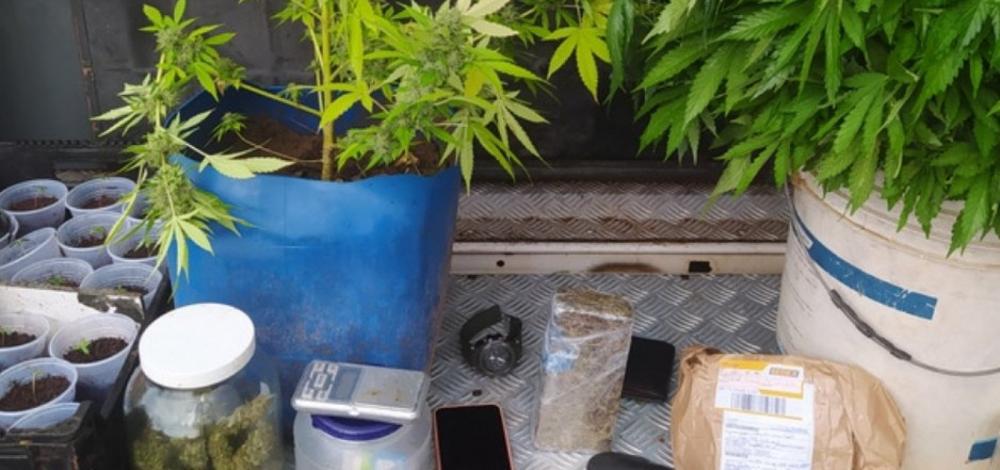 Oeste: homem é preso vendendo maconha aromatizada para clientes exigentes