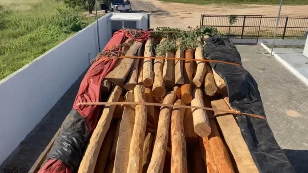 Carga de madeira nativa ilegal que teria como destino Caetité é apreendida 