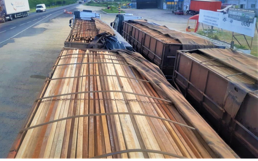 Região: Cerca de 100 toneladas de madeira de origem ilegal são apreendidas