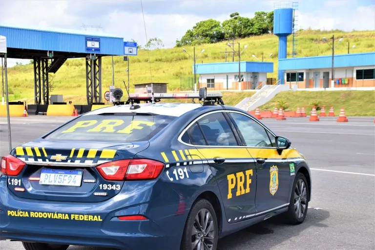 PRF resgata galos em situação de maus-tratos e apreende arma na BR-116 em Vitória da Conquista