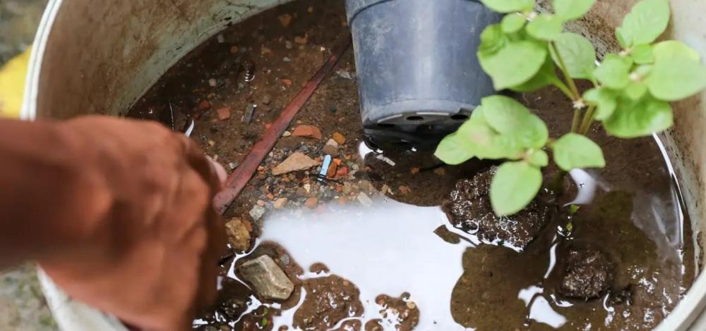 Bahia tem aumento de 100% em casos prováveis de dengue em relação a 2023