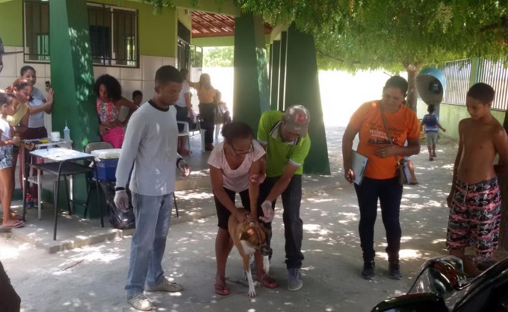 Sétimo caso de Calazar é confirmado em Carinhanha 