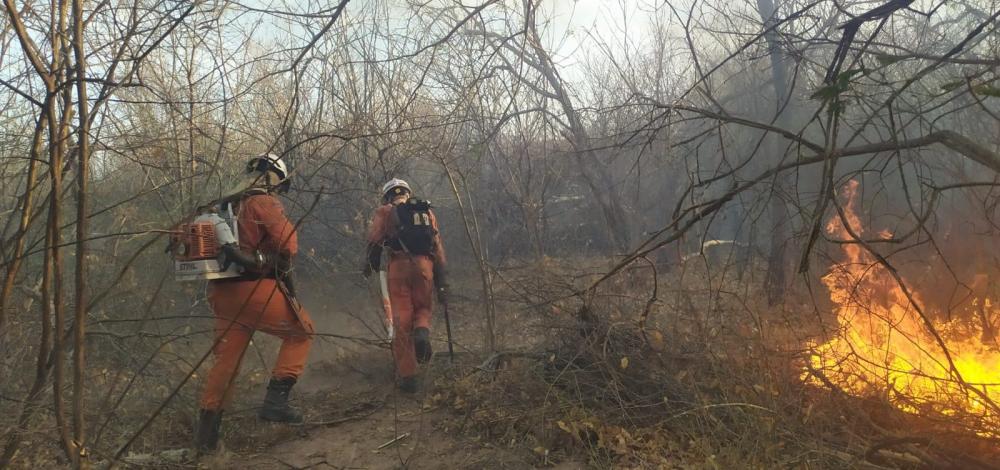 Incêndios na Chapada são extintos, mas bombeiros continuam combates em cinco municípios da Bahia