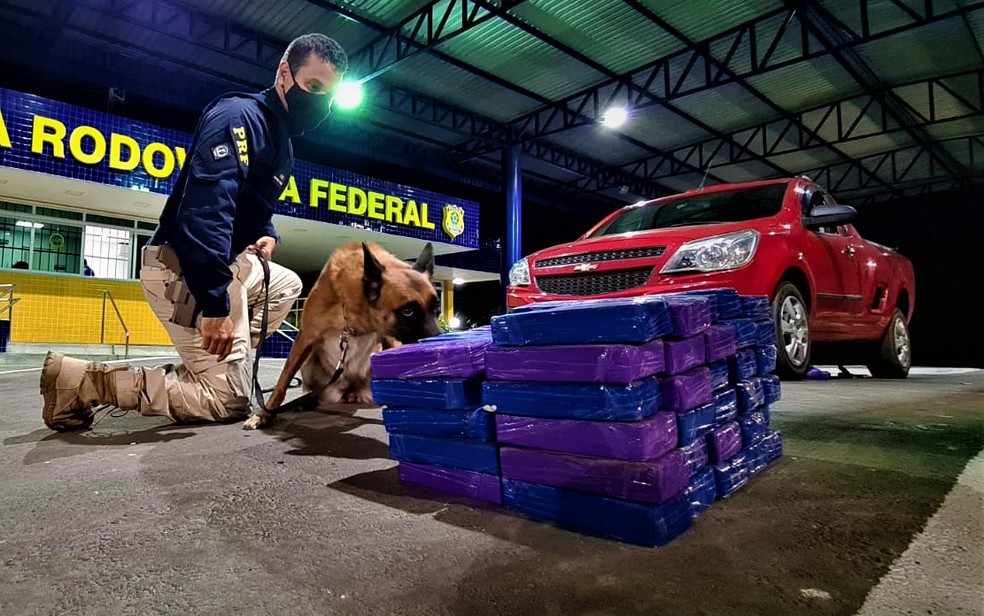 Casal é preso por transportar quase 62 Kg de cocaína, na BR-116, trecho de Vitória da Conquista 