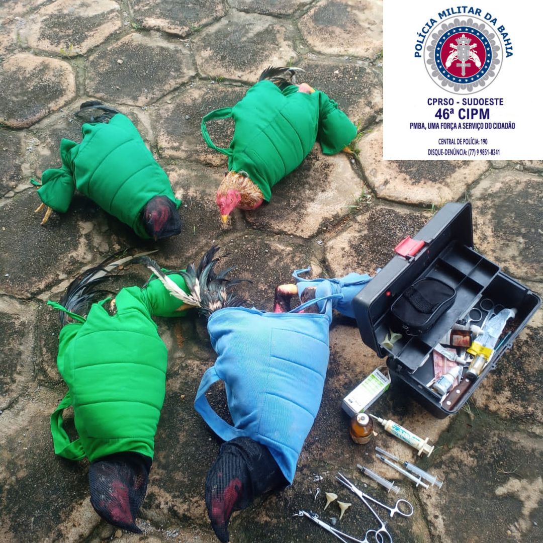 Homens são presos em Livramento com galos que eram utilizados em rinhas