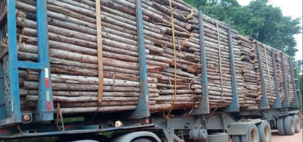 Caminhoneiro é preso com carregamento ilegal de madeira no sul da Bahia