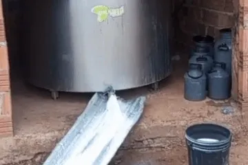Produtor descarta 2 mil litros de leite por causa de estrada ruim em Riacho de Santana