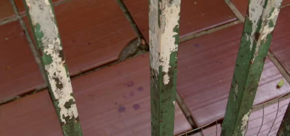 Por disputa de herança, homem mata três pessoas da mesma família durante ceia de Natal