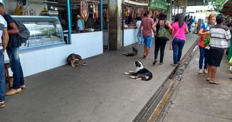Jequié: MP quer proibir venda de carne e pede interdição de Centro de Abastecimento