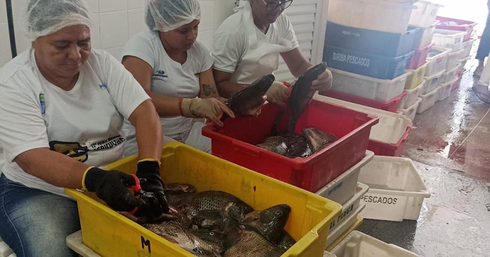 Cooperativa da agricultura familiar espera triplicar a venda de peixes na Semana Santa