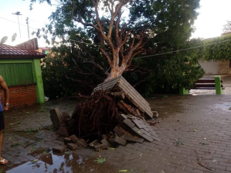 Chuva de granizo e ventania causa enormes estragos em Livramento de Nossa Senhora