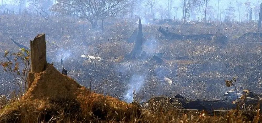 Queimada irregular afeta paciente acamado em Guanambi