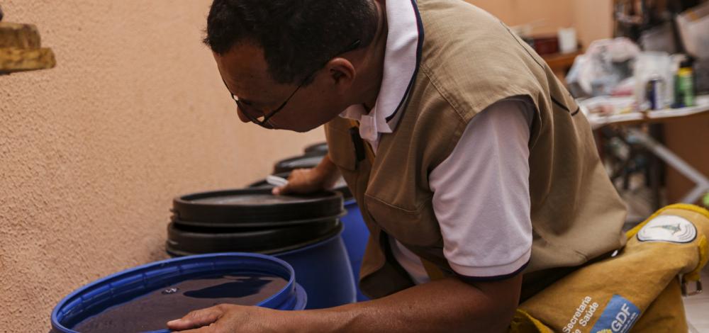 Brasil registra mais de um milhão de casos de dengue em 2024