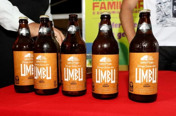Cerveja de Umbu de produção da agricultura familiar na Bahia será vendida em todo Brasil