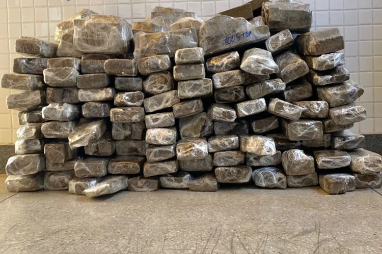 PM apreende 100 kg de maconha durante operação em Oliveira dos Brejinhos