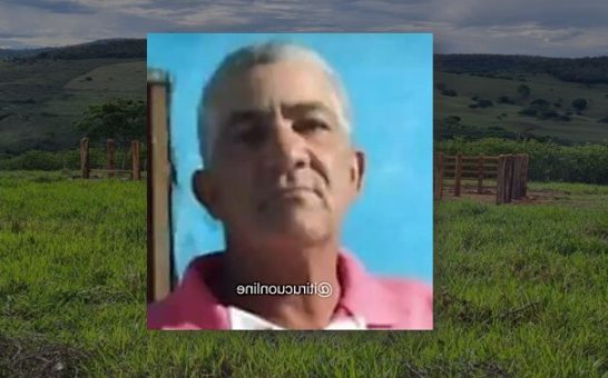 Região:Tratorista morre após ataque de abelhas