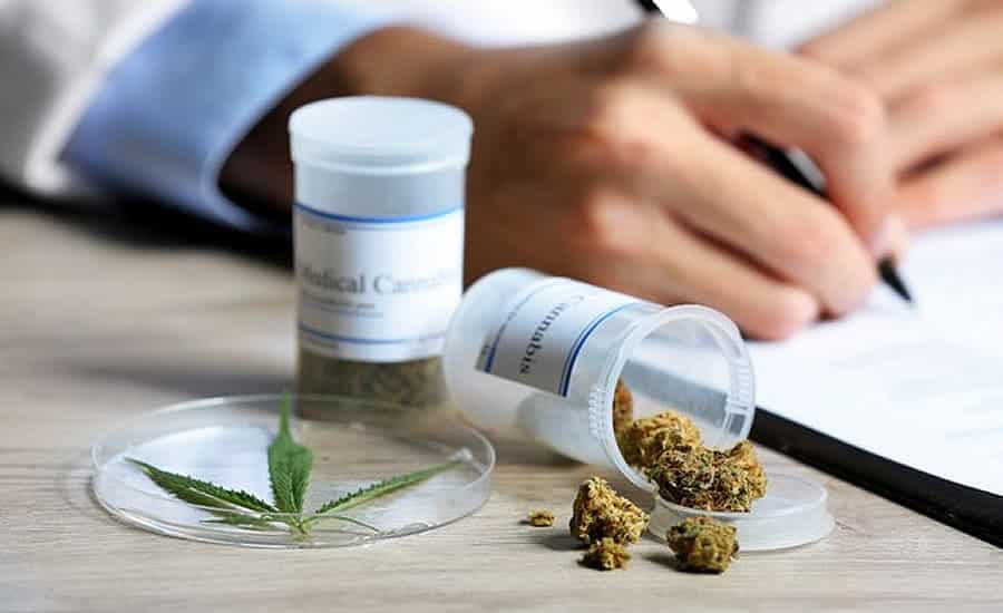 Derivado de maconha é eficiente contra coronavírus, diz estudo feito com rato