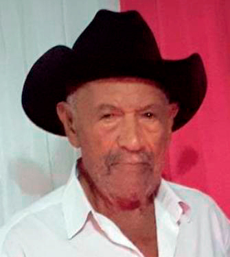 Sudoeste baiano: Idoso morre após ser picado por abelhas