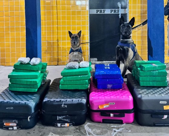 PRF apreende mais de 50kg de entorpecentes no oeste baiano