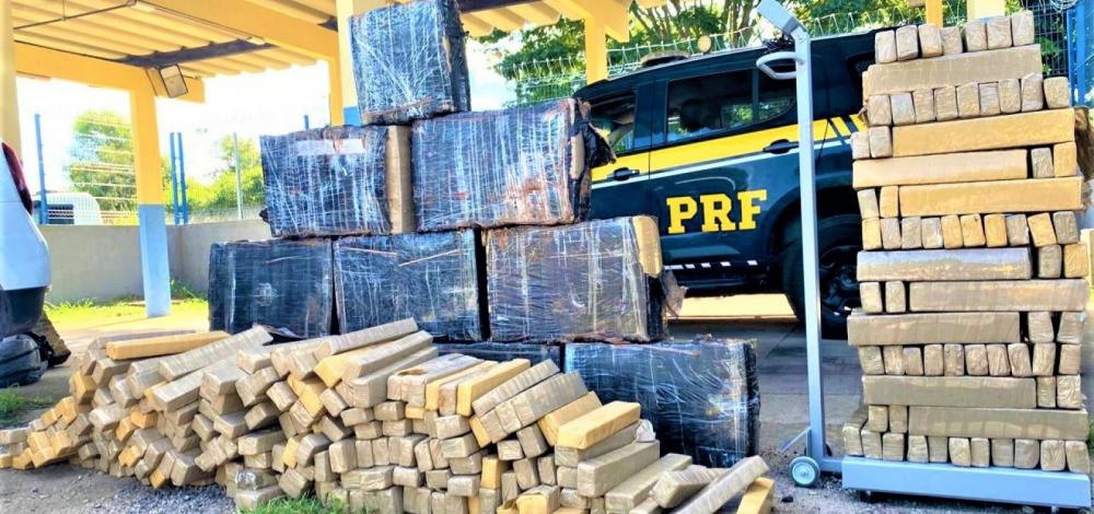 PRF na Bahia registra aumento de 52% nas apreensões de maconha