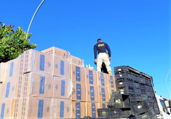 PRF apreende 126 mil maços de cigarros contrabandeados em Urandi 