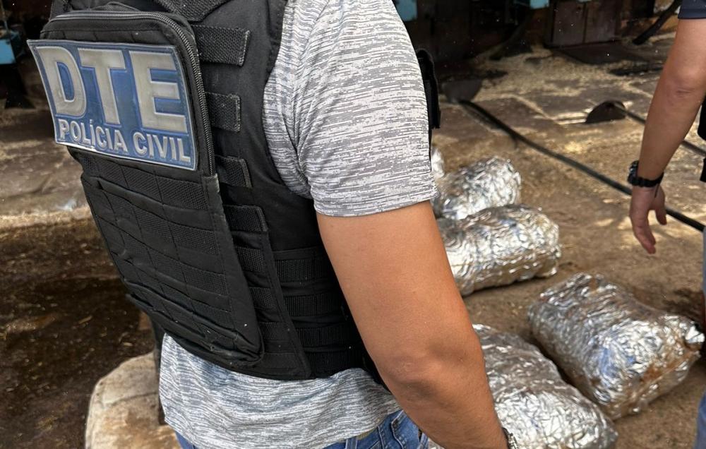 Região: Polícia Civil incinera meia tonelada de drogas 