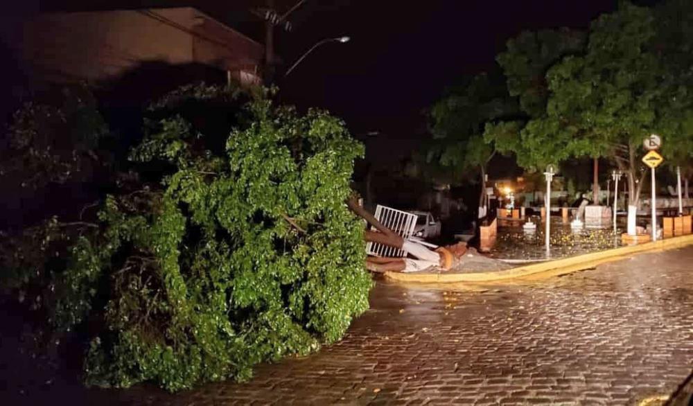 Forte chuva acompanhada de ventos causou estragos em Macaúbas