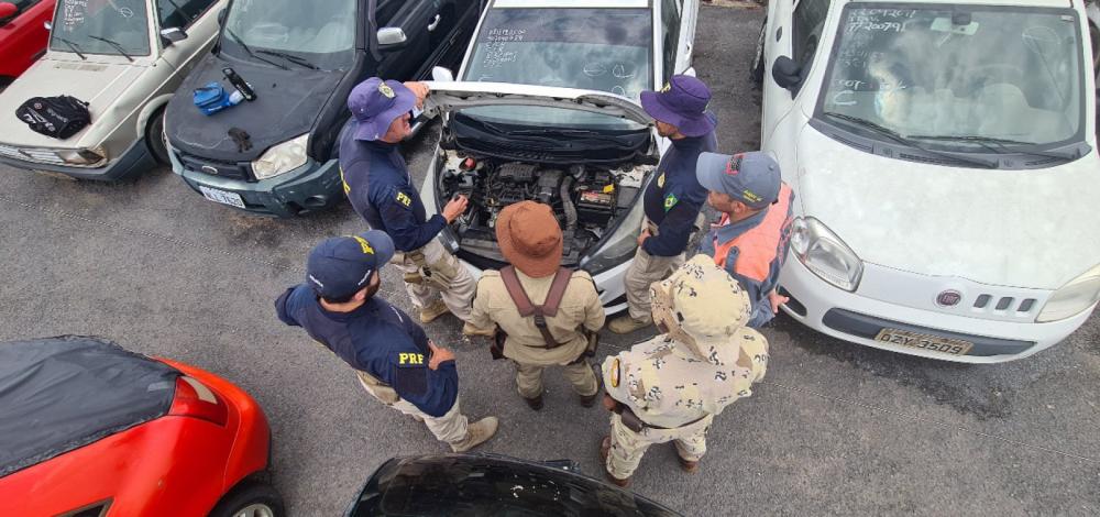 PRF prende 13 suspeitos de roubo, furto e adulteração de veículos em Barreiras