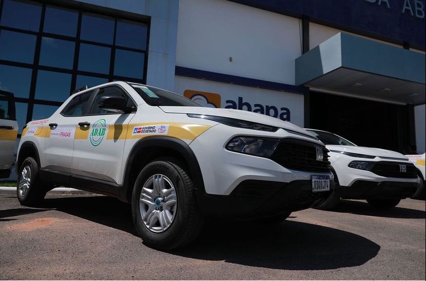 ADAB realiza apreensão de mudas de plantas citrus em Caetité 