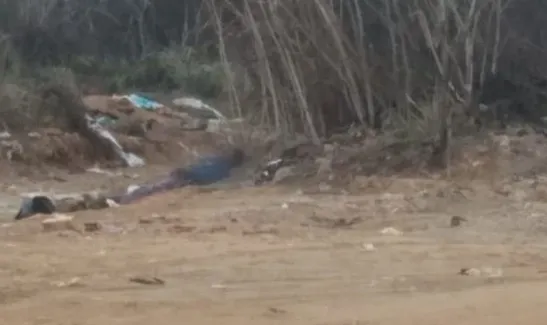 Corpo em decomposição é encontrado em Planalto