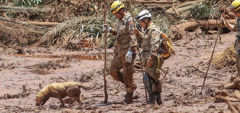 Governo confirma que lama de barragem irá atingir Rio São Francisco