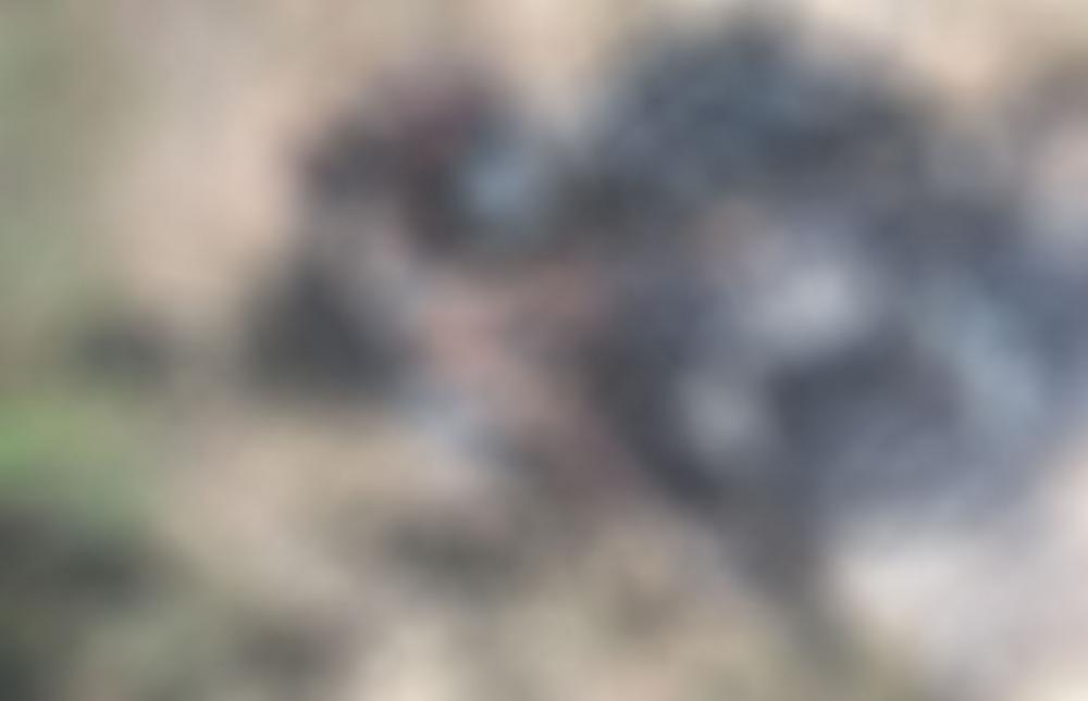 Aracatu: Corpo de homem é encontrado carbonizado na zona rural 