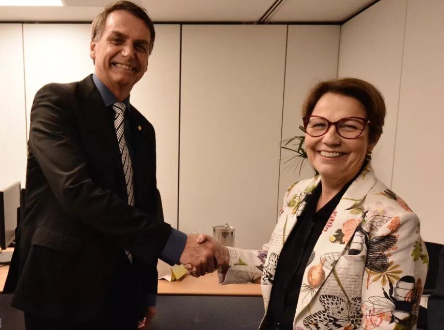 Governo Bolsonaro libera mais 67 agrotóxicos; 7 são extremamente tóxicos 