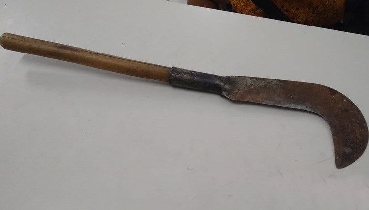 Padrasto atinge enteado com golpe de foice na zona rural de Carinhanha 