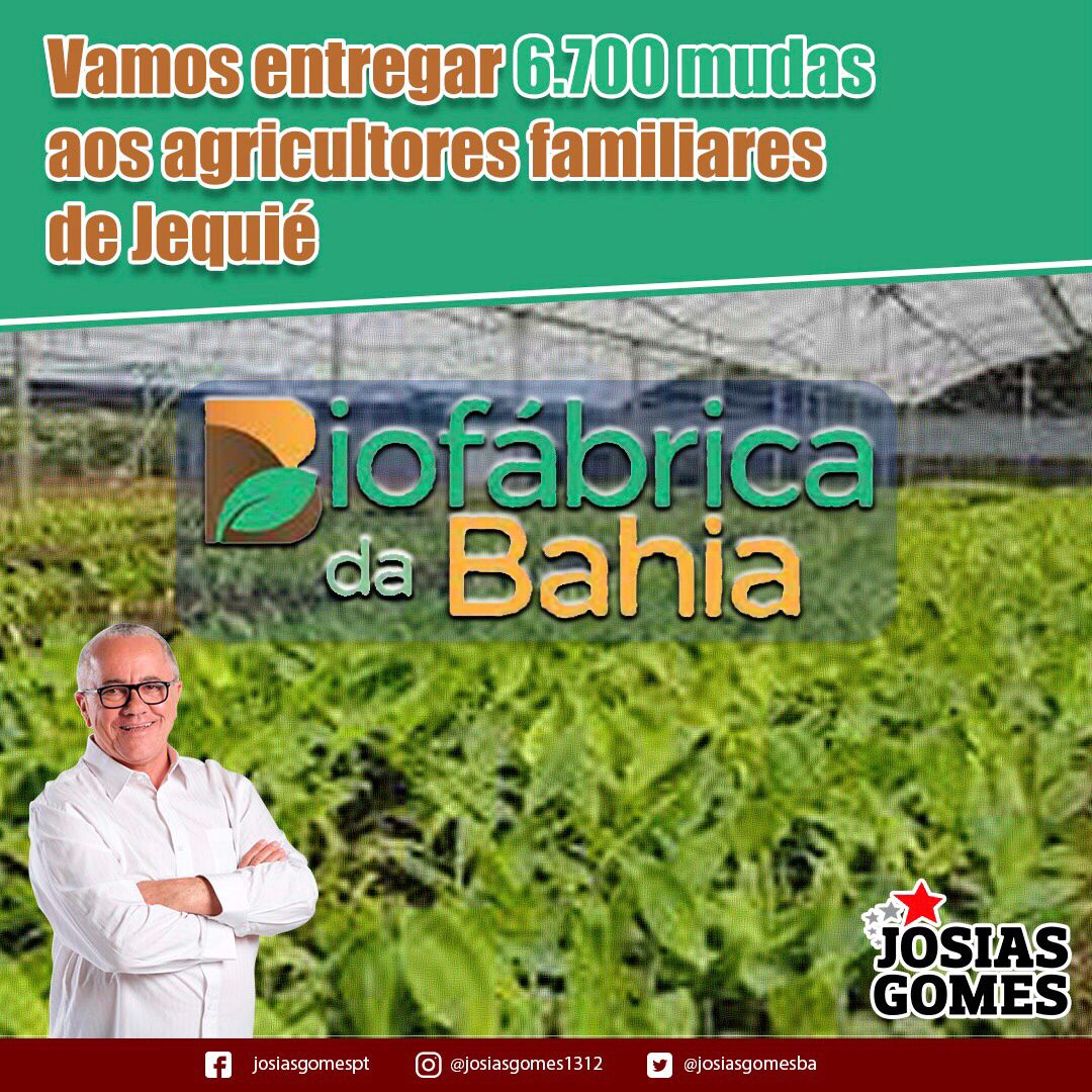 Biofábrica da Bahia vai entregar 6.700 mudas aos agricultores familiares de Jequié