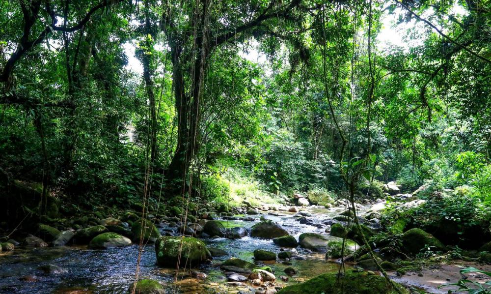 Brasil é eleito pela Forbes como o melhor país do mundo para ecoturismo