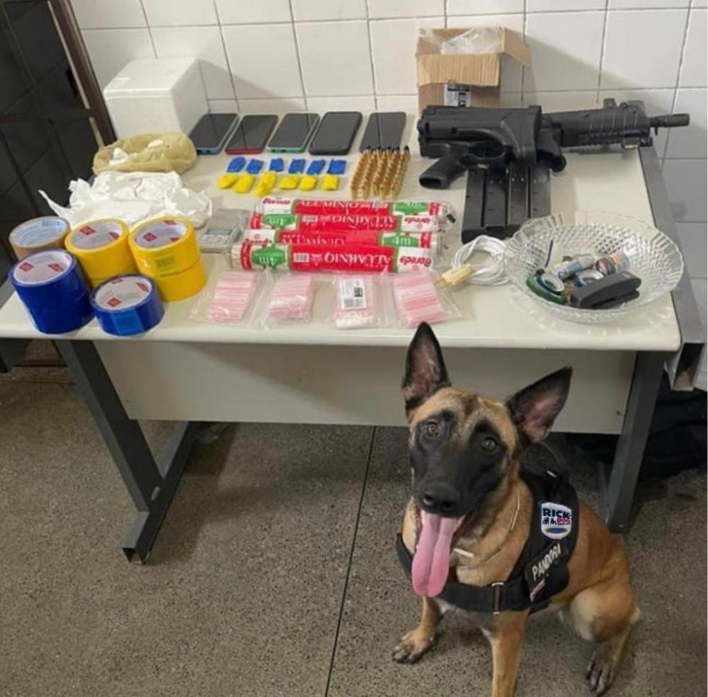 Líder de facção morre após trocar tiros com a polícia na Chapada Diamantina