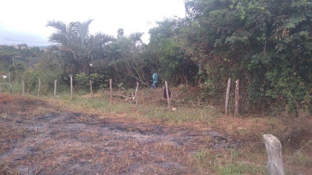 Caetité: Após denúncia, lotes começam a ser limpos no bairro Prisco Viana 