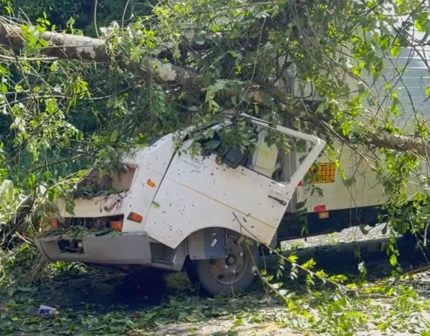 Duas pessoas morrem após árvore cair sobre caminhão na BR-415, em Itabuna