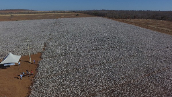 Malhada: Um dia de campo pra ficar na história