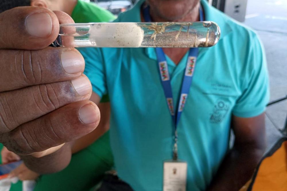 Cenário da Dengue na Bahia apresenta tendência de queda