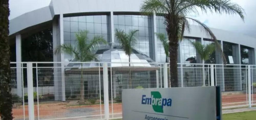 Governo propõe corte de 45% no orçamento da Embrapa para 2020