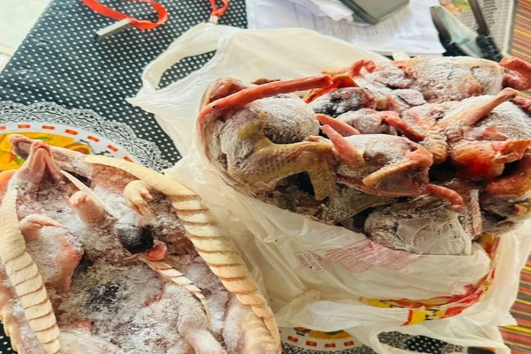 Polícia Ambiental flagra caça e armas ilegais em Ibicoara