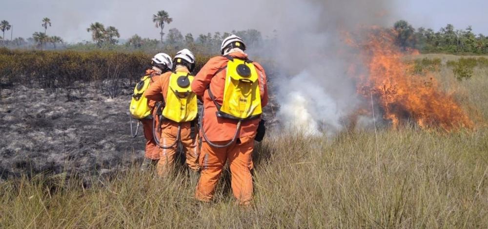 Bombeiros atuam em 10 municípios para combater os incêndios florestais na Bahia