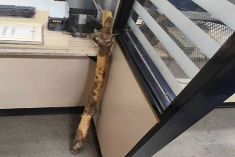 Homem é preso após ameaçar ex-companheira e filhos em Palmas de Monte Alto