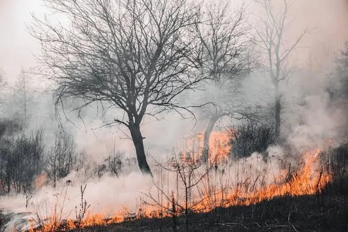 Malhada de Pedras reforça ações contra seca e alerta para risco de queimadas