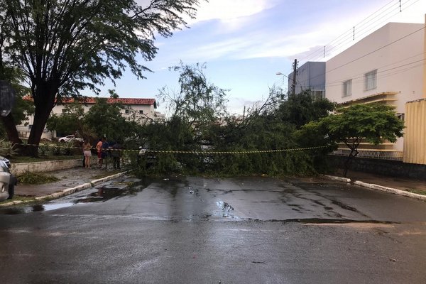Temporal destrói cobertura de posto de combustíveis, alaga ruas e derruba ao menos 20 árvores em Jequié