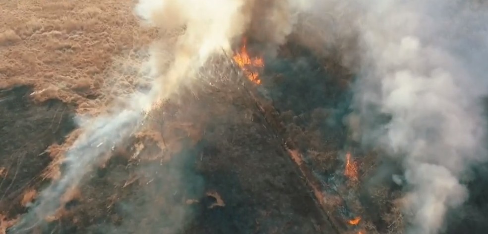 Incêndio destrói 90 hectares de vegetação em Guanambi 