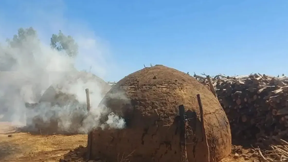 Inema destrói nove fornos clandestinos em área de desmatamento em Condeúba